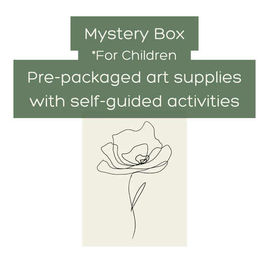 Art Activity Mystery Box (guided activities with all supplies) - Children