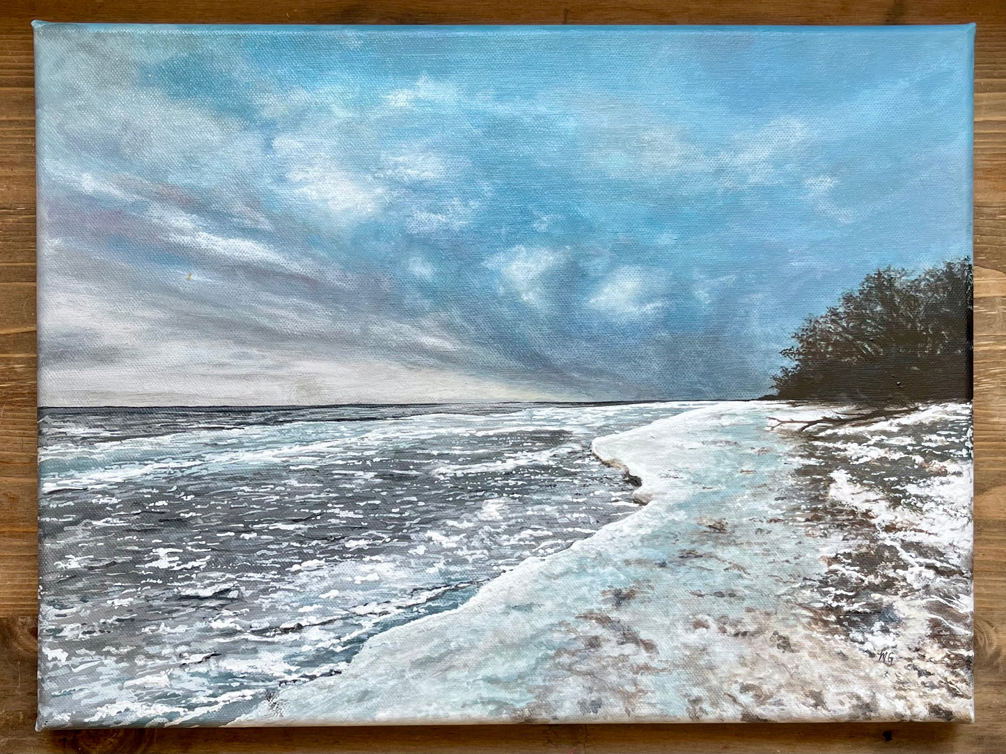 MG Artwork: Frigid Presqu'ile Shores (Original, Acrylic Painting, 12"x16")