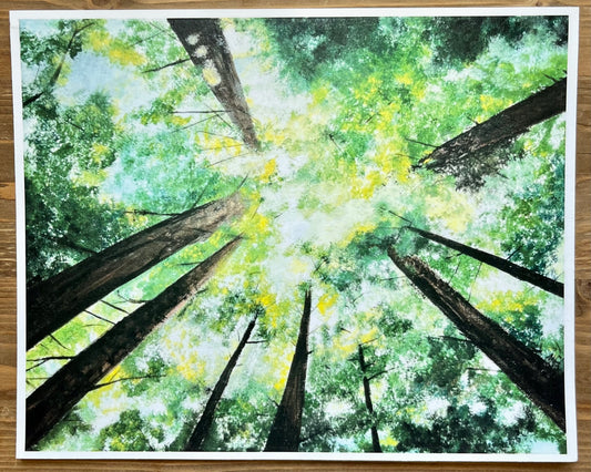 MG Artwork: Unframed Giclee Print "Forest Canopy" (8"x10" print)